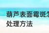 葫芦表面霉斑怎么处理 葫芦表面霉斑处理方法