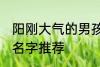 阳刚大气的男孩名字 阳刚大气的男孩名字推荐