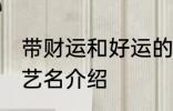 带财运和好运的艺名 带财运和好运的艺名介绍