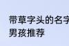 带草字头的名字男孩 带草字头的名字男孩推荐