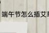 端午节怎么插艾草 端午节插艾草方法