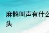 麻鹊叫声有什么兆头 麻雀叫有什么兆头