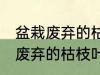 盆栽废弃的枯枝叶属于什么垃圾 盆栽废弃的枯枝叶是什么垃圾