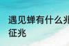 遇见蝉有什么兆头 梦见知了蝉有什么征兆