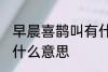 早晨喜鹊叫有什么兆头 早晨喜鹊叫是什么意思