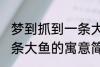 梦到抓到一条大鱼有什么兆头 梦见一条大鱼的寓意简介