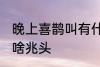 晚上喜鹊叫有什么兆头 晚上喜鹊叫有啥兆头