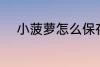 小菠萝怎么保存 怎么存放小菠萝