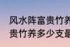 风水阵富贵竹养几支最旺运 风水阵富贵竹养多少支最旺运