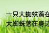 一只大蜘蛛落在身边有什么兆头 一只大蜘蛛落在身边的兆头有什么