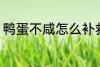 鸭蛋不咸怎么补救 鸭蛋不咸怎么办呢