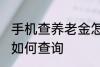 手机查养老金怎么查询 手机查养老金如何查询