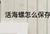 活海螺怎么保存 活海螺的保存方法