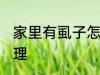 家里有虱子怎么办 家里有虱子如何处理