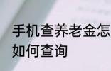 手机查养老金怎么查询 手机查养老金如何查询