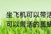 坐飞机可以带活的茧蛹吗 坐飞机可不可以带活的茧蛹