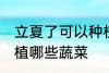 立夏了可以种植什么蔬菜 立夏可以种植哪些蔬菜