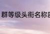 群等级头衔名称四个字 群名称有哪些