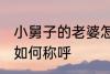小舅子的老婆怎么称呼 小舅子的老婆如何称呼