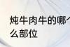 炖牛肉牛的哪个部位 炖牛肉牛选择什么部位