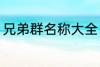 兄弟群名称大全 好听霸道兄弟群名称