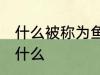 什么被称为鱼米之乡 鱼米之乡指的是什么