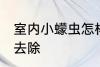 室内小蠓虫怎样去除 室内小蠓虫如何去除