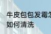 牛皮包包发霉怎么清洗 牛皮包包发霉如何清洗