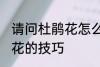 请问杜鹃花怎么养不爱死啊 养殖杜鹃花的技巧