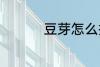 豆芽怎么摘 豆芽的洗法