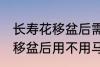 长寿花移盆后需要立刻浇水吗 长寿花移盆后用不用马上浇水