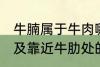 牛腩属于牛肉哪个部位 牛腩即牛腹部及靠近牛肋处的松软肌肉对吗