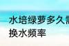 水培绿萝多久需要换一次水 水培绿萝换水频率