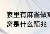 家里有麻雀做窝好不好 家里有麻雀做窝是什么预兆