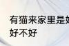 有猫来家里是好还是不好 有猫来家里好不好