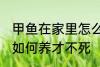 甲鱼在家里怎么养才不死 甲鱼在家里如何养才不死