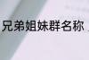 兄弟姐妹群名称 兄弟姐妹群名称推荐