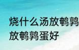 烧什么汤放鹌鹑蛋好一些啊 煮什么汤放鹌鹑蛋好