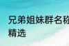 兄弟姐妹群名称大全 兄弟姐妹群名称精选