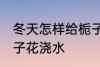 冬天怎样给栀子花浇水 冬天如何给栀子花浇水