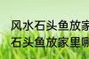 风水石头鱼放家里什么地方合适 风水石头鱼放家里哪个地方合适
