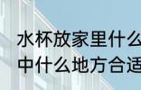 水杯放家里什么地方招财 水杯放在家中什么地方合适