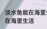 淡水鱼能在海里生活吗 淡水鱼能不能在海里生活