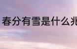 春分有雪是什么兆头 春分有雪的征兆
