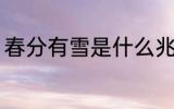 春分有雪是什么兆头 春分有雪的征兆