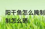 阳干鱼怎么腌制怎么晒 阳干鱼如何腌制怎么晒