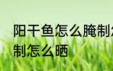 阳干鱼怎么腌制怎么晒 阳干鱼如何腌制怎么晒