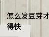 怎么发豆芽才长得快 如何发豆芽才长得快