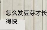 怎么发豆芽才长得快 如何发豆芽才长得快