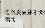 怎么发豆芽才长得快 如何发豆芽才长得快